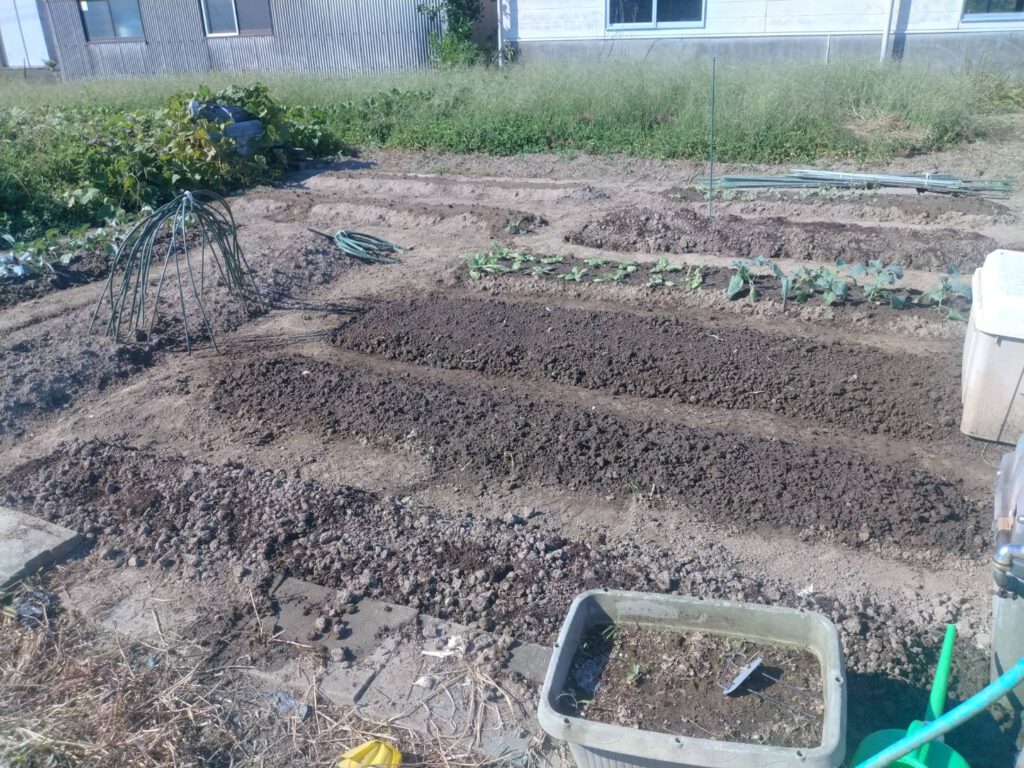 再開しました🧤🌱の投稿のサムネイル