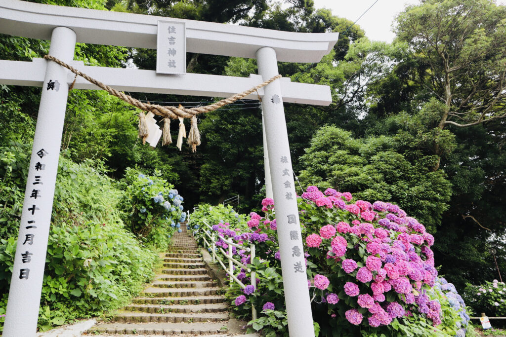 梅雨の風物詩🐸☔の投稿のサムネイル