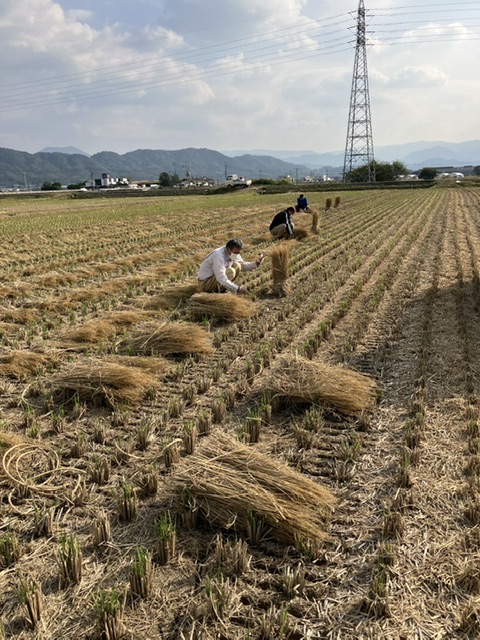 どんどやの準備中🌾の投稿のサムネイル