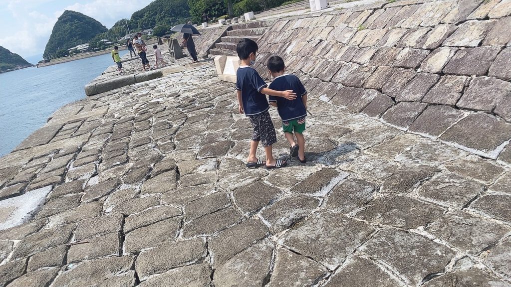 カニ取り合戦〜🦀♪の投稿のサムネイル