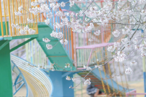 春満喫🌷🌸の投稿のサムネイル
